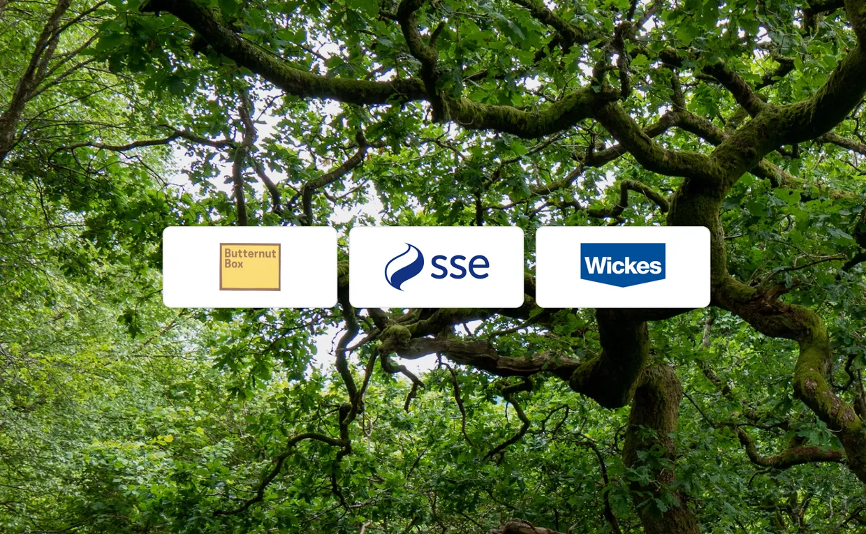 UK carbon accounting