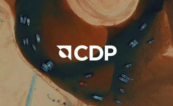 CDP Score