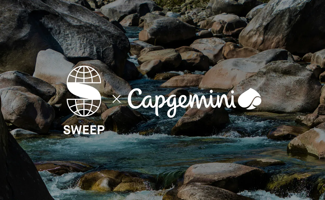 Capgemini Report 2026
