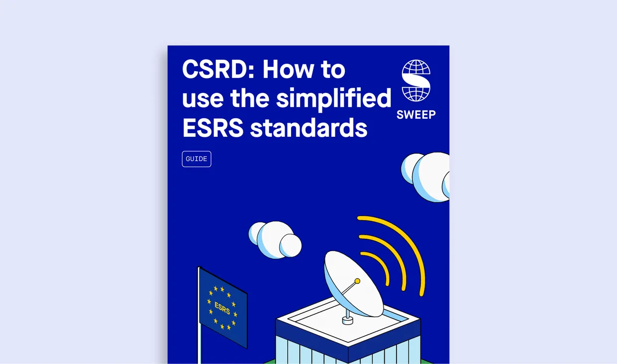 ESRS Guide