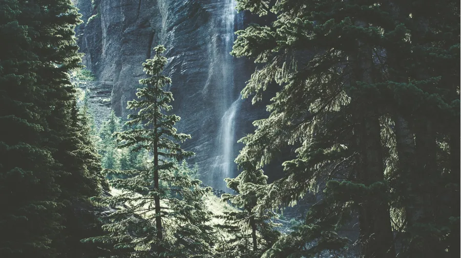 SBTi Net Zero standard