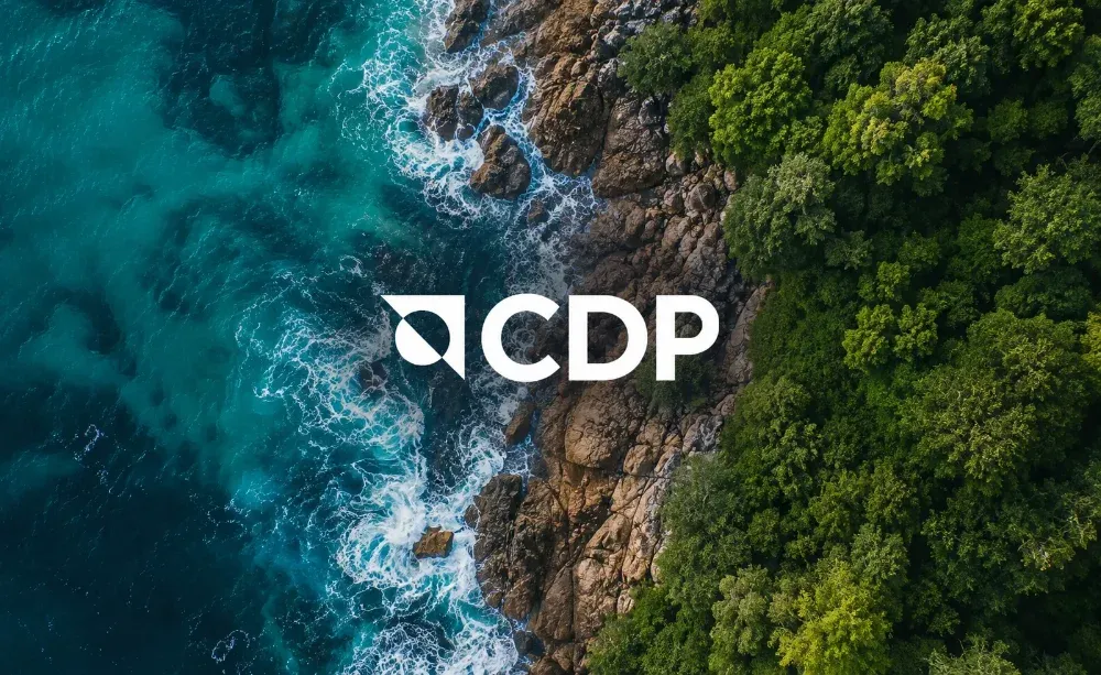 CDP 2026 submission checklist and scoring deadline guide