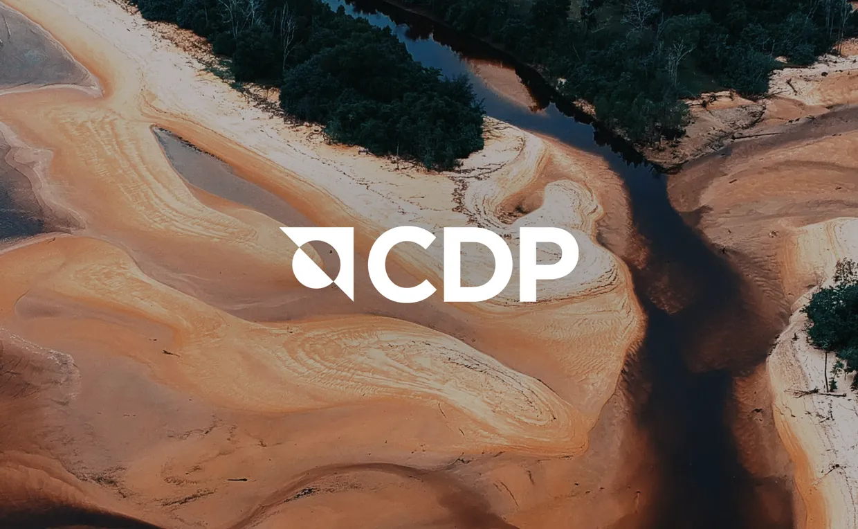 What is CDP?